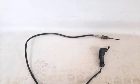 BMW 1 F40 Exhaust gas temperature sensor 8589813 8570231 13628589813