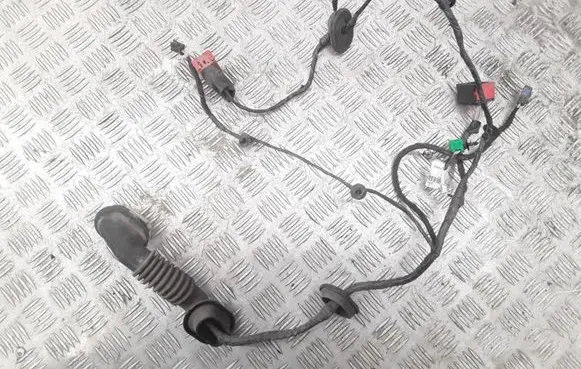 Citroen C8 Front door wiring loom 1494417080 55PQ25148