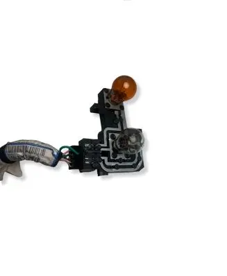 Renault Laguna II Tail light bulb cover holder 23214
