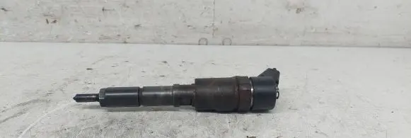 Peugeot 406 Fuel injector 0445110008