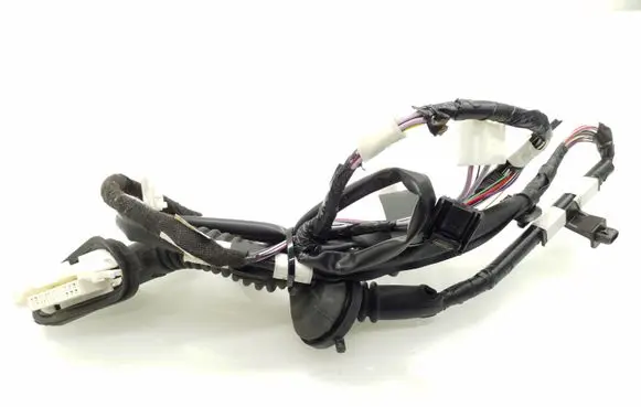 Rear door wiring loom