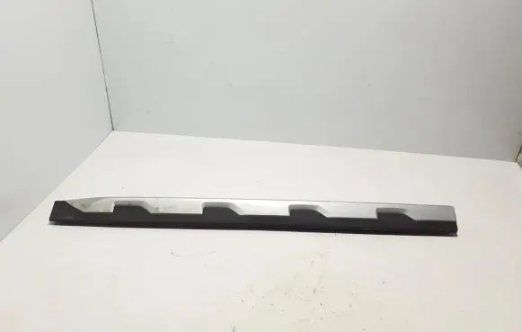 Front door trim (molding)