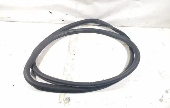 Opel Insignia A Front door rubber seal 