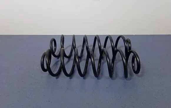Ford Ecosport Rear coil spring