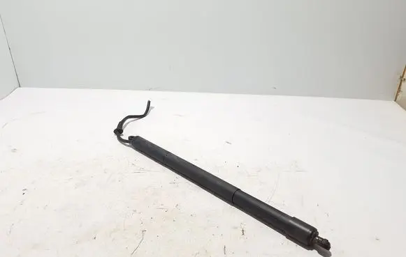 Tailgate strut