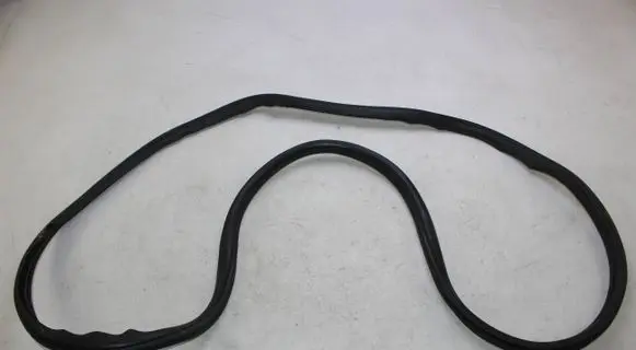 BMW X3 F25 Front door rubber seal 7311258