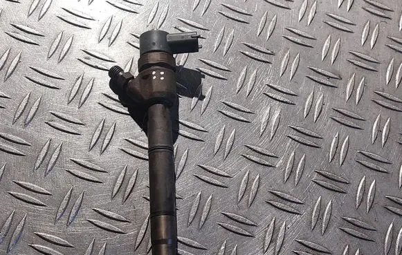 Hyundai i20 (PB PBT) Fuel injector 0445110320