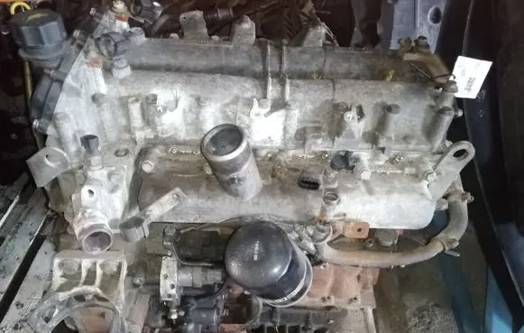 Iveco Daily 45 - 49.10 Engine