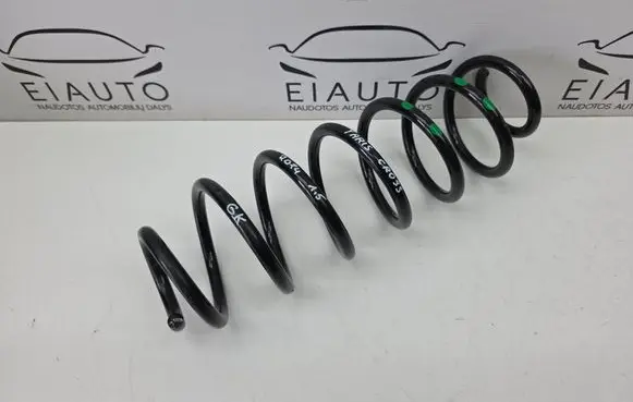 Rear coil spring
