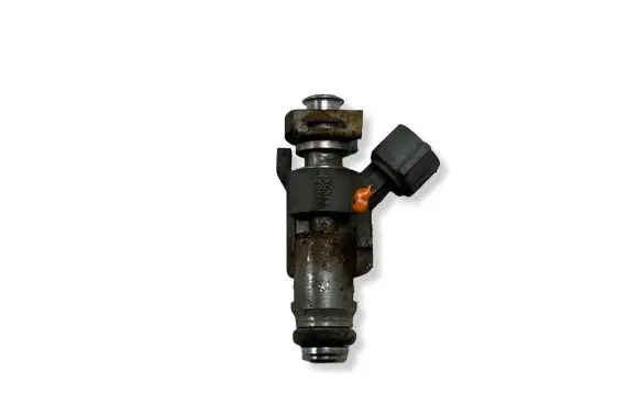 Fiat Ducato Fuel injector 
