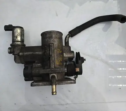 Throttle body valve