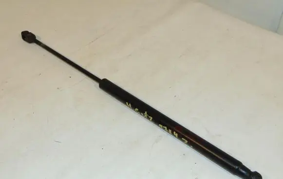 Tailgate/trunk strut/damper