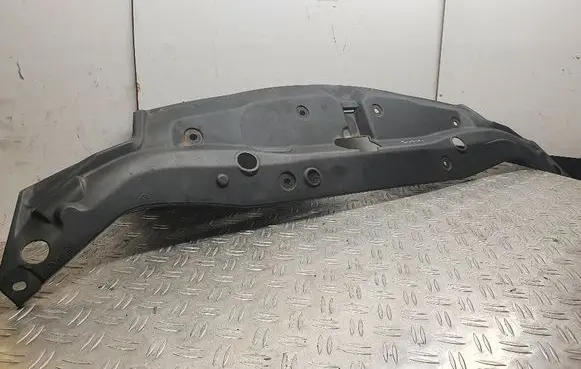 Engine bonnet/hood lock trim molding