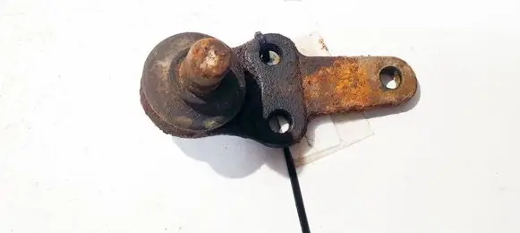 Ford Focus Front ball joint 