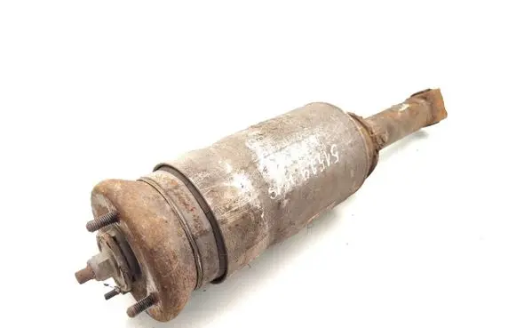 Land Rover Range Rover Sport L320 Air suspension front shock absorber RNB501220 22238305