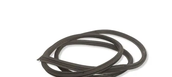 BMW 1 E82 E88 Front door rubber seal 