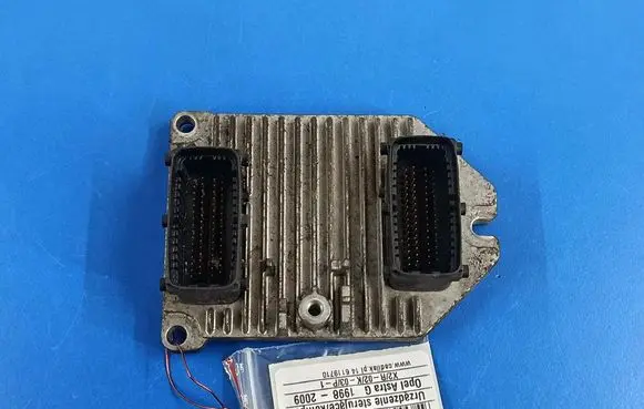 Engine control unit/module ECU