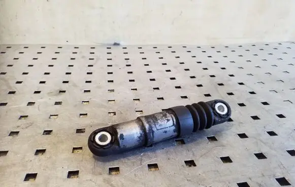 Volkswagen Touareg I Alternator belt tensioner 