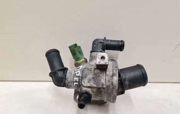 Thermostat/thermostat housing