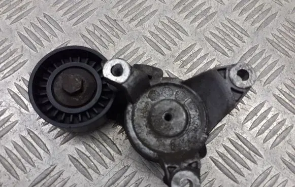 Peugeot 307 Alternator belt tensioner pulley TF070J