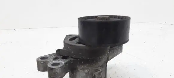 Peugeot 206 Alternator belt tensioner 