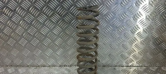 Rear coil spring