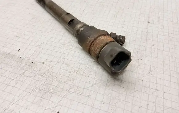 Hyundai Sonata Fuel injector