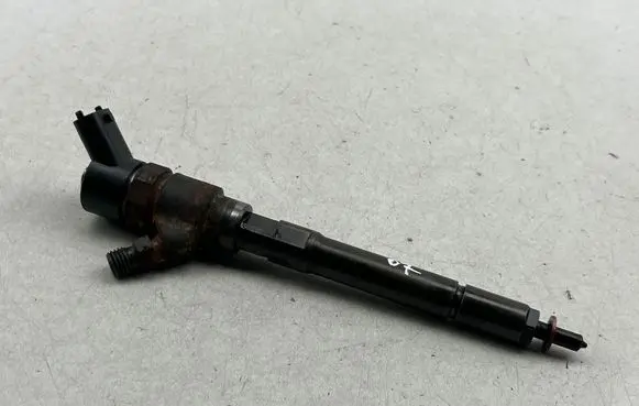 Chevrolet Captiva Fuel injector 0445110270