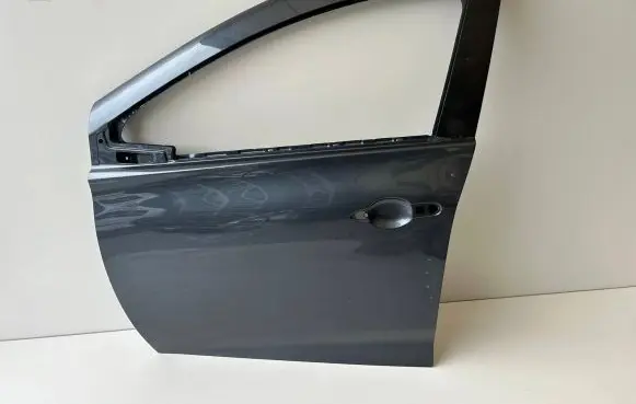 Renault Zoe Front door 801532090R