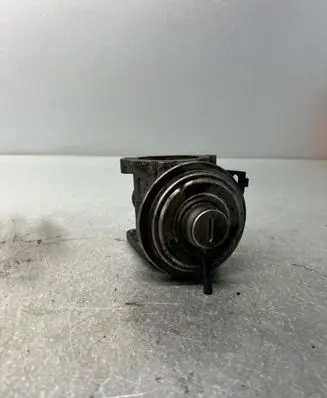 EGR valve