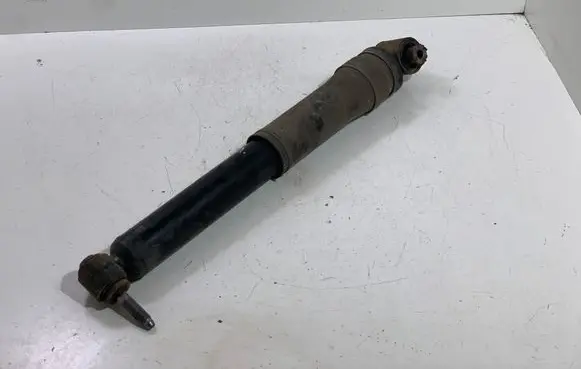 Renault Espace V (RFC) Rear shock absorber with coil spring 56210387R