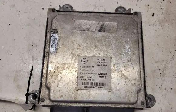 Mercedes-Benz C W204 Engine control unit/module A6519007500 A0064461540