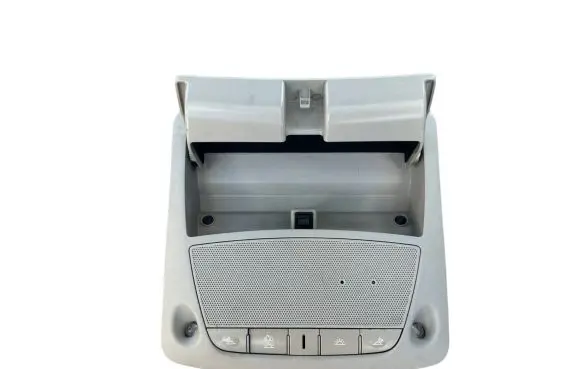 Nissan Pulsar Front seat light 283361LZ0A