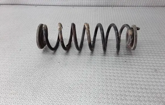 Skoda Octavia Mk2 (1Z) Rear coil spring