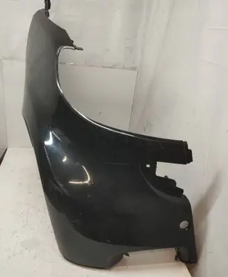 Smart ForTwo II Fender A4518810201