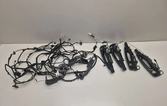 BMW 3 F30 F35 F31 Front door wiring loom 9259981 9259994 9260011