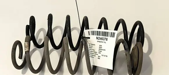Rear coil spring