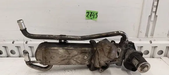 Volkswagen Golf VII EGR valve 0280751012 11725504 32709