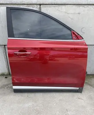 MG ZS Front door 0234