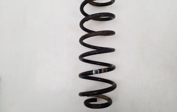 Volkswagen Jetta VI Rear coil spring 
