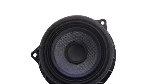 BMW X5 F15 Front door speaker 9286368