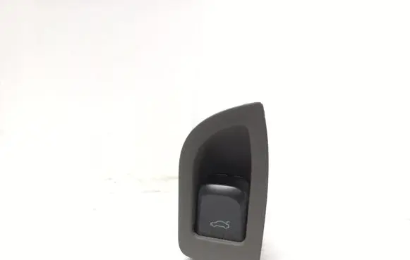 Tailgate opening switch
