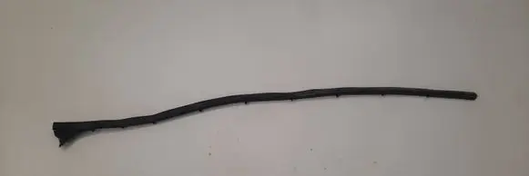 Volvo V40 Rubber seal front door (on door) 31298382