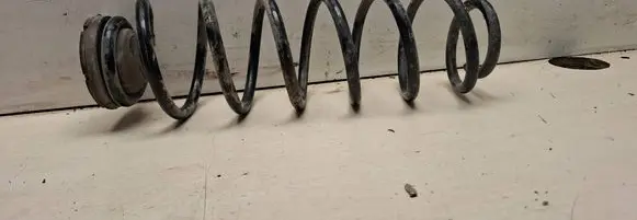 Rear coil spring