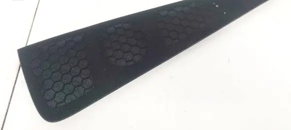 Side speaker trim/cover