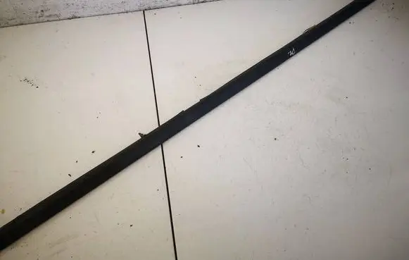 Renault Scenic II - Grand scenic II Front door glass trim molding 