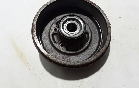 Dacia Duster II Rear brake disc 432008208R