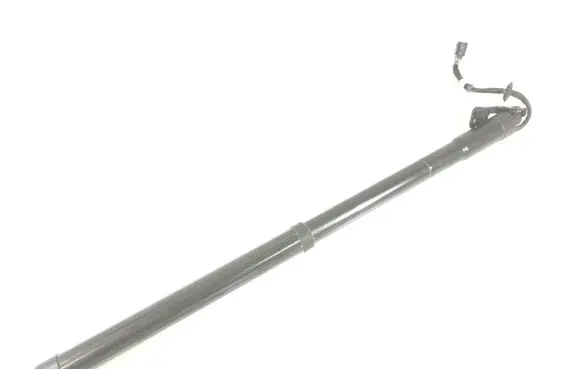 Tailgate strut