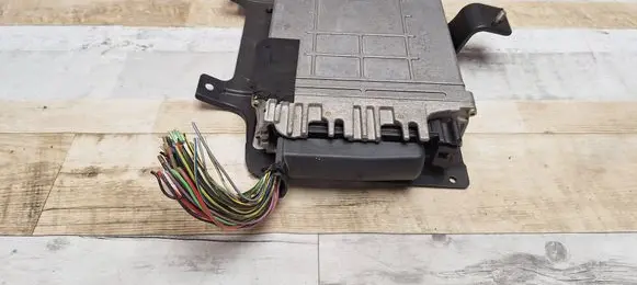 Seat Alhambra (Mk1) Engine control unit/module 012E599 Y511054
