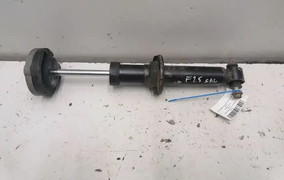 BMW X3 F25 Rear shock absorber/damper 6796317